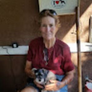 Meet your Posher, Regina